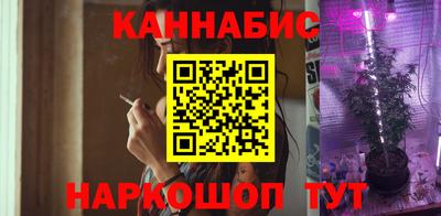 молекула духа Будённовск