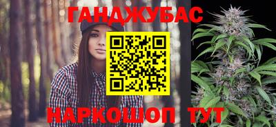 молекула духа Будённовск